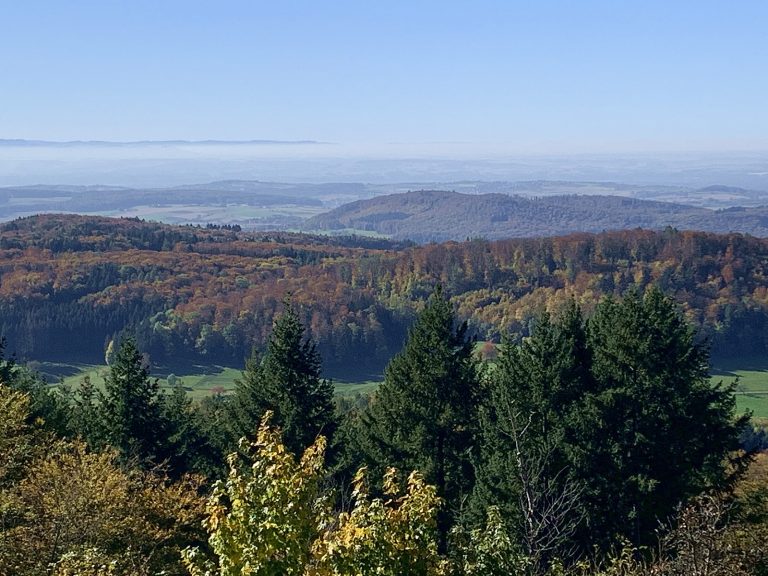 Kleine-Schwarzwaldlodge: der Schwarzwald ruft..