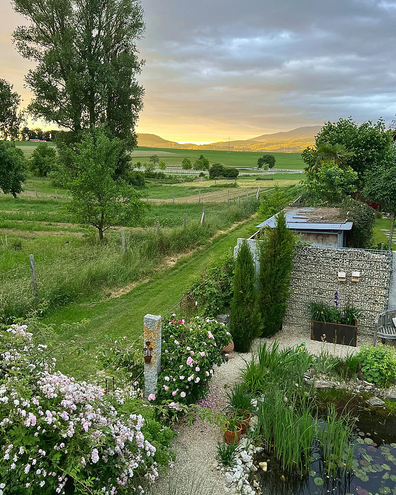 Ausblick auf den Schwarzwald von unserer Ferienwohnung Kleine-Schwarzwaldlodge