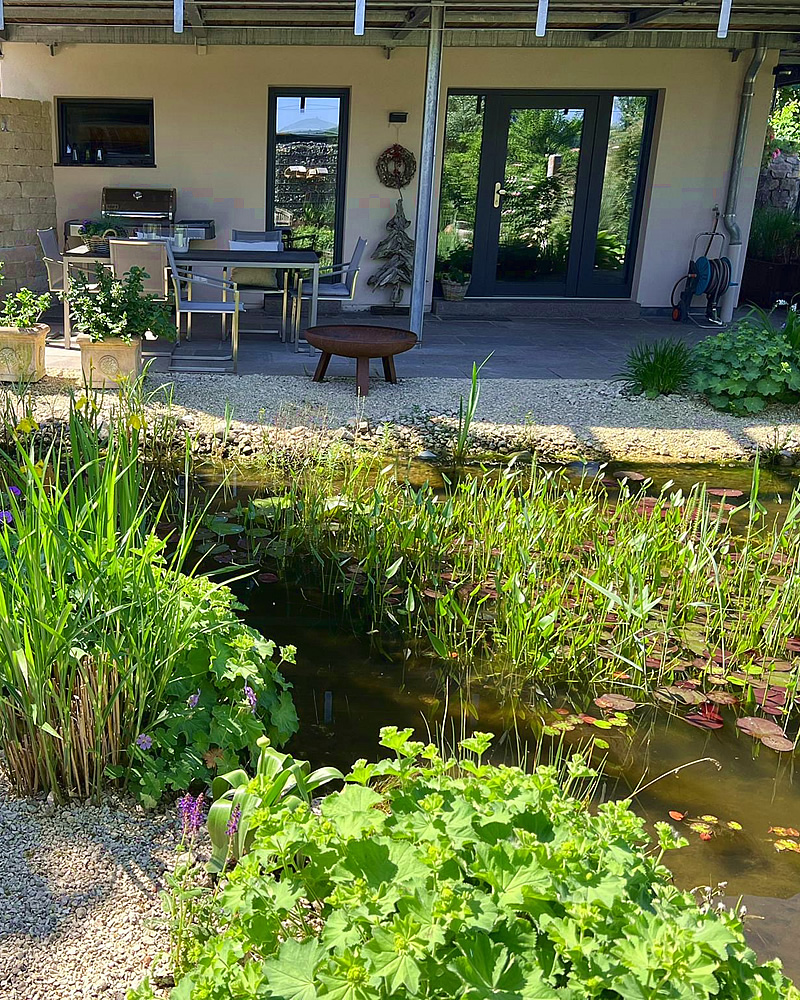 In unserer Schwarzwaldlodge Ferienwohnung haben Sie eine wunderbare Terasse mit Froschteich