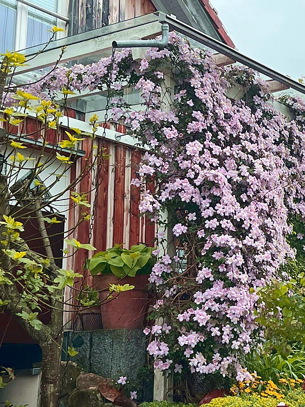 In unsem selbstgebauten Haus finden Sie die Kleine Schwarzwaldlodge...